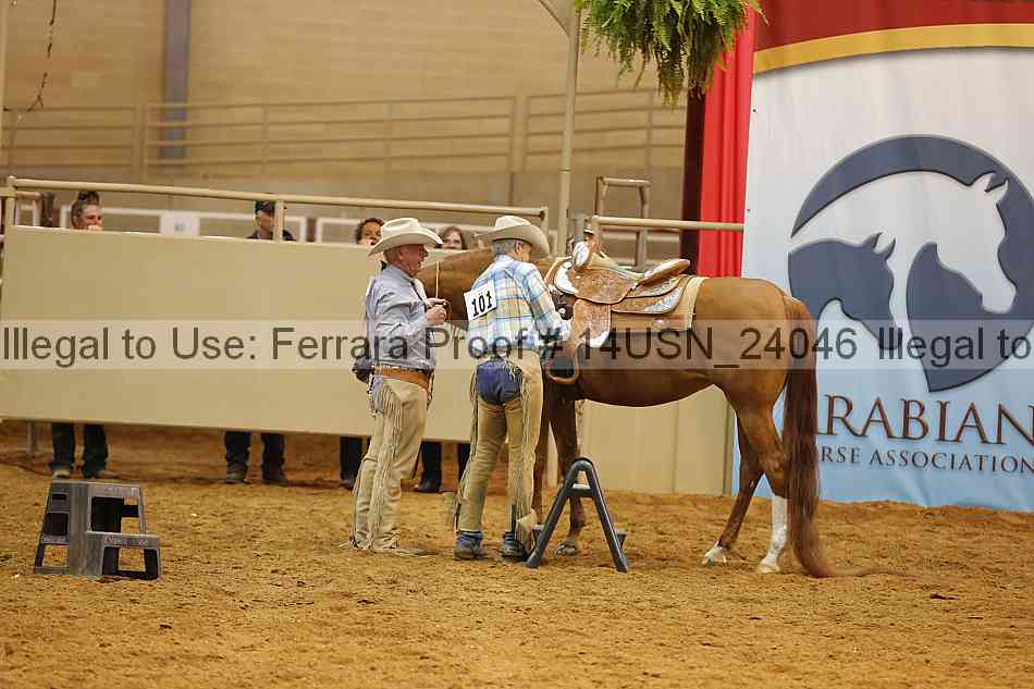 Proof 14usn_24046
