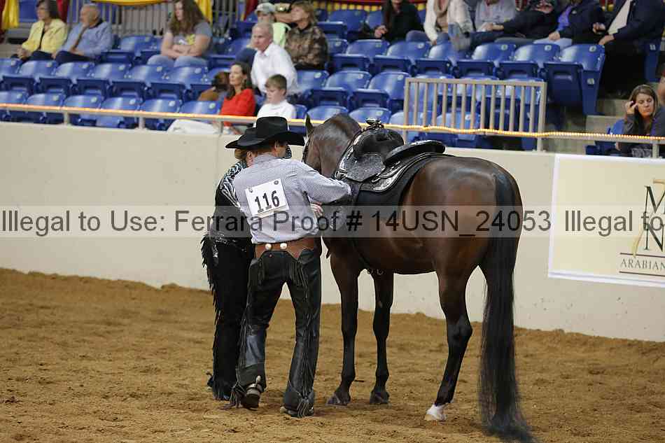 Proof 14usn_24053