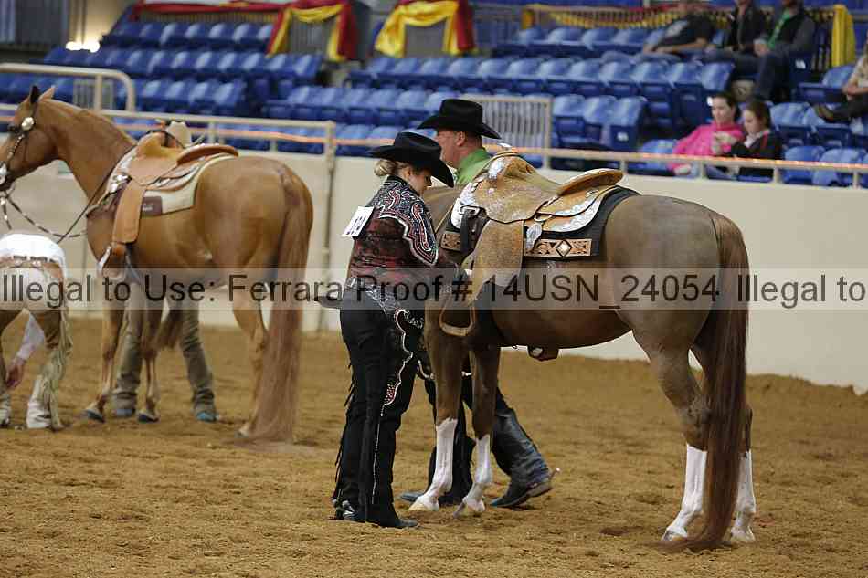 Proof 14usn_24054