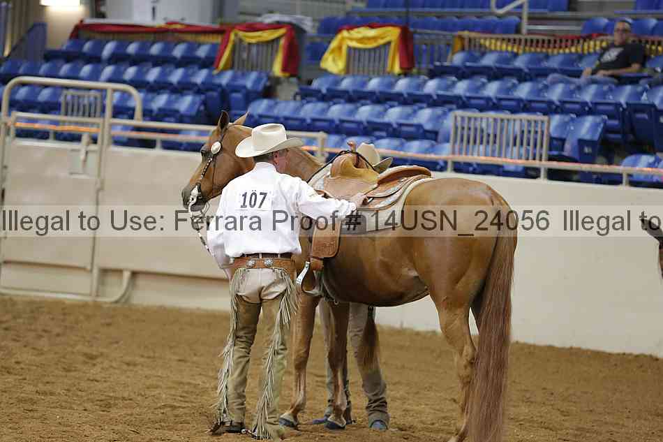 Proof 14usn_24056