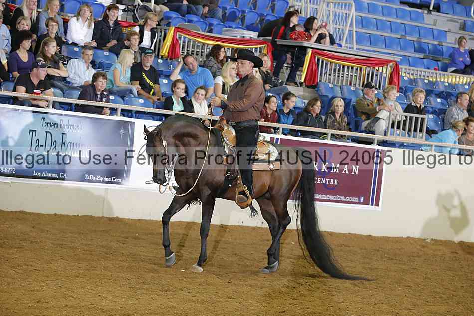 Proof 14usn_24065