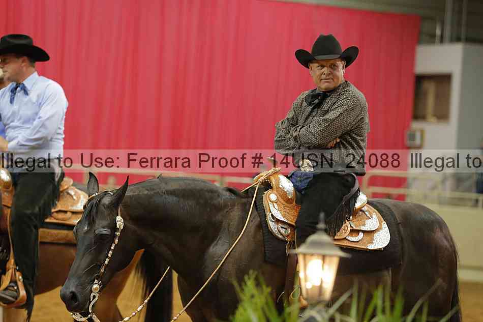 Proof 14usn_24088