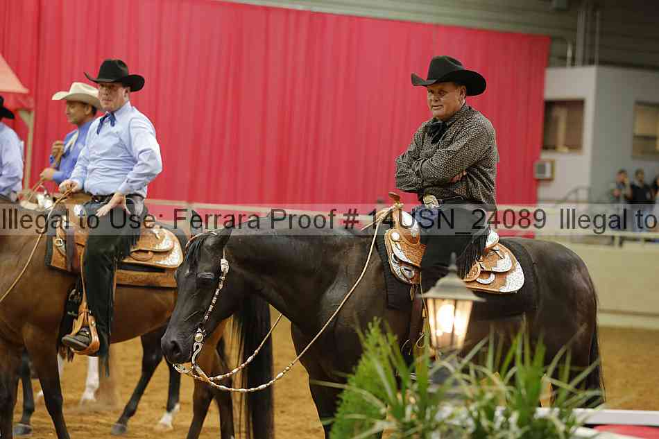 Proof 14usn_24089