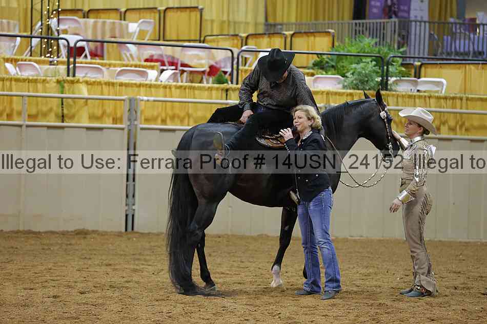 Proof 14usn_24152