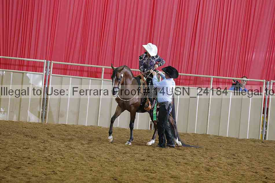 Proof 14usn_24184