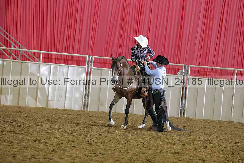 Proof 14usn_24185