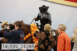 14usn_24246 proof