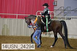 14usn_24294 proof
