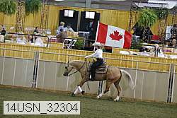 14usn_32304 proof