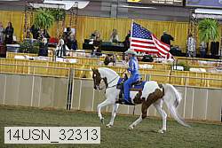14usn_32313 proof