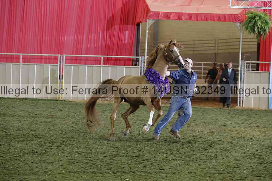 Proof 14usn_32349