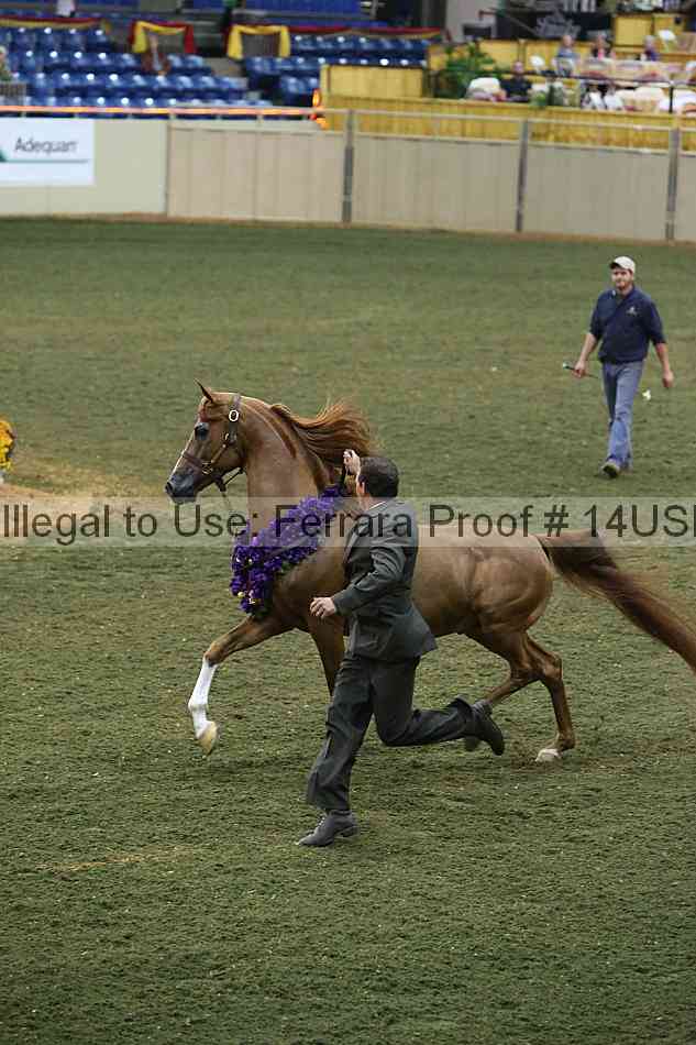 Proof 14usn_32368