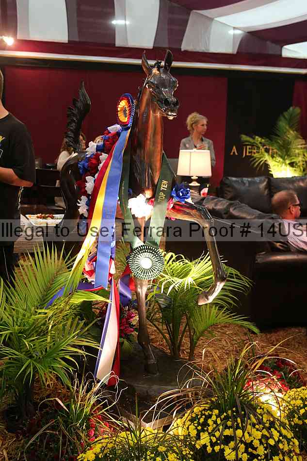 Proof 14usn_40421