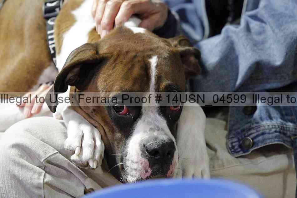Proof 14usn_04599