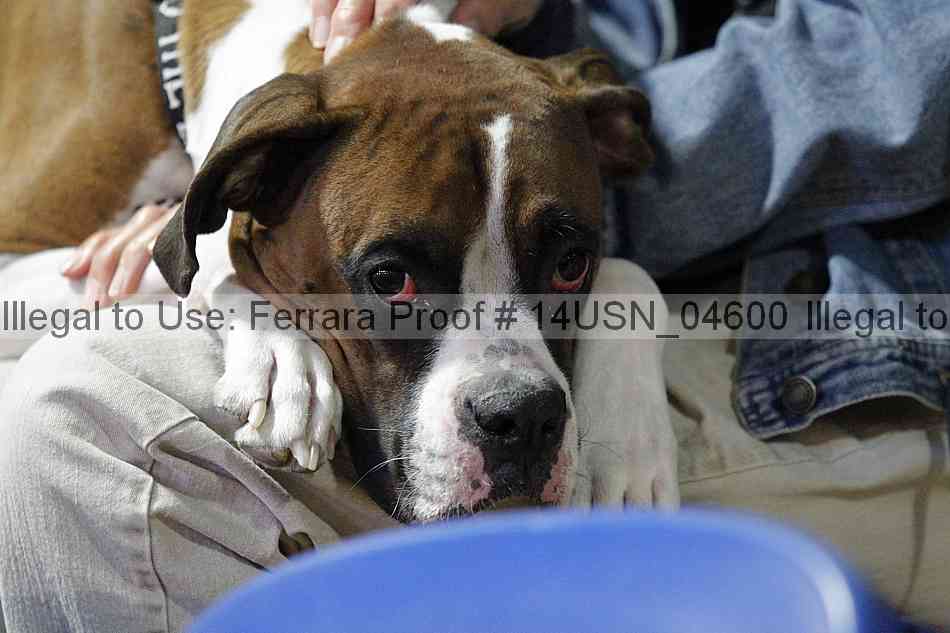 Proof 14usn_04600