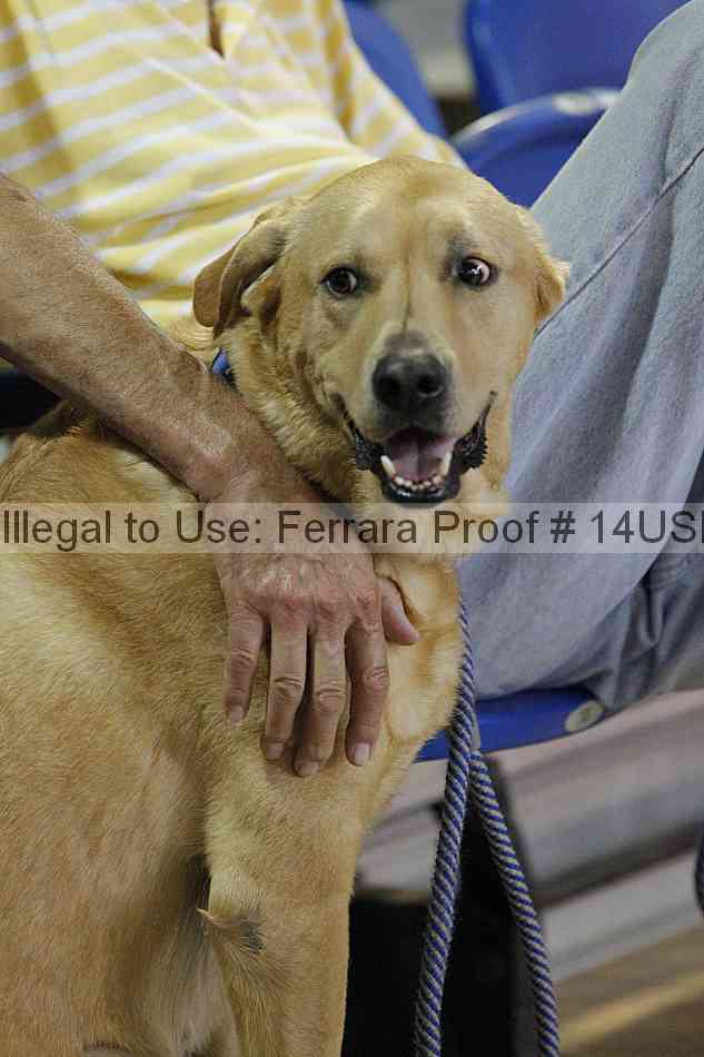 Proof 14usn_04601