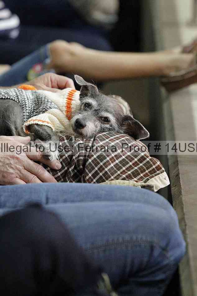 Proof 14usn_04606