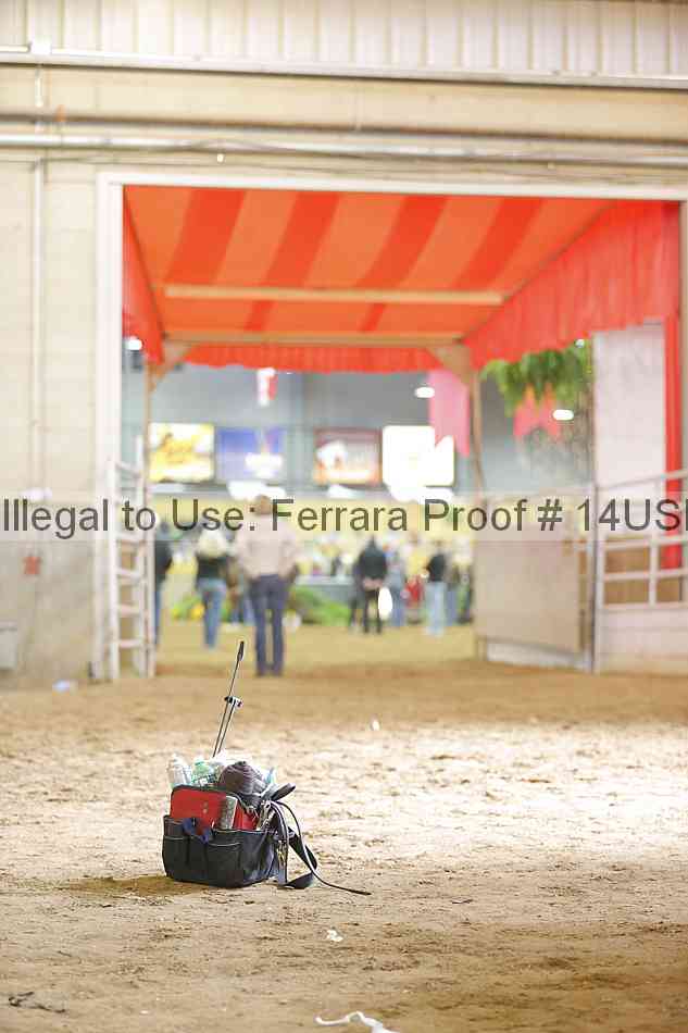 Proof 14usn_06506