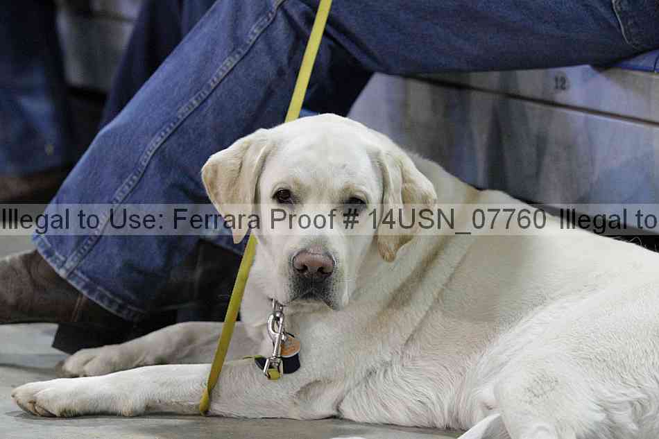 Proof 14usn_07760
