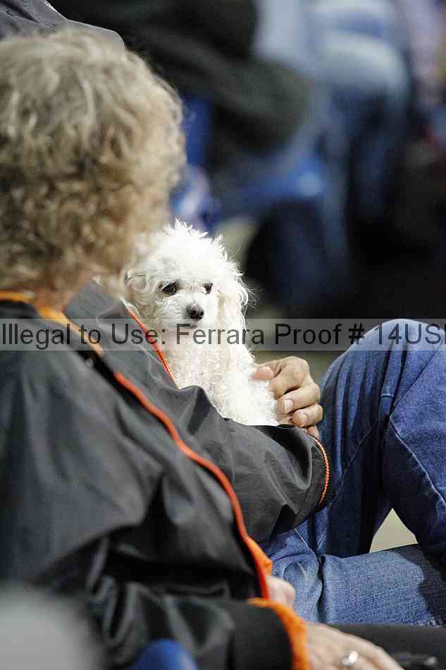 Proof 14usn_07761