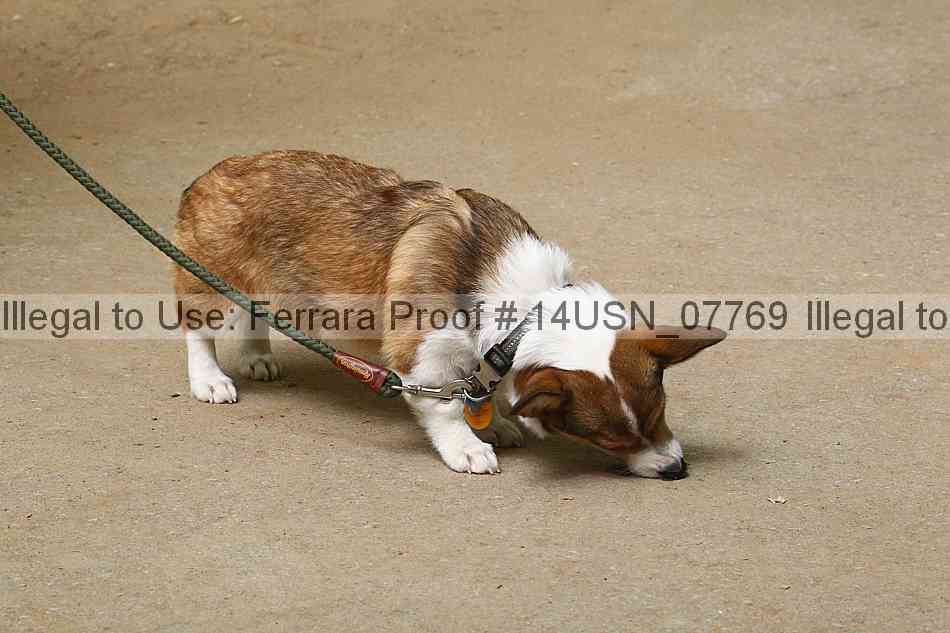 Proof 14usn_07769