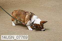 14usn_07769 proof