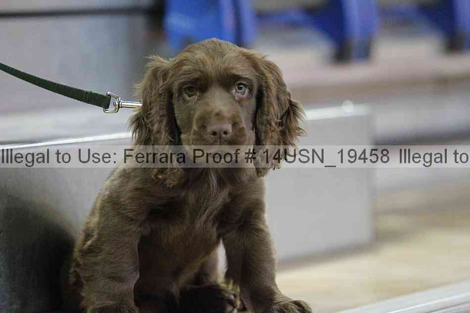 Proof 14usn_19458