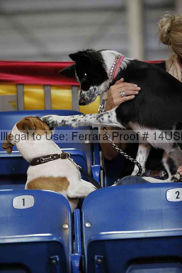 Proof 14usn_19469