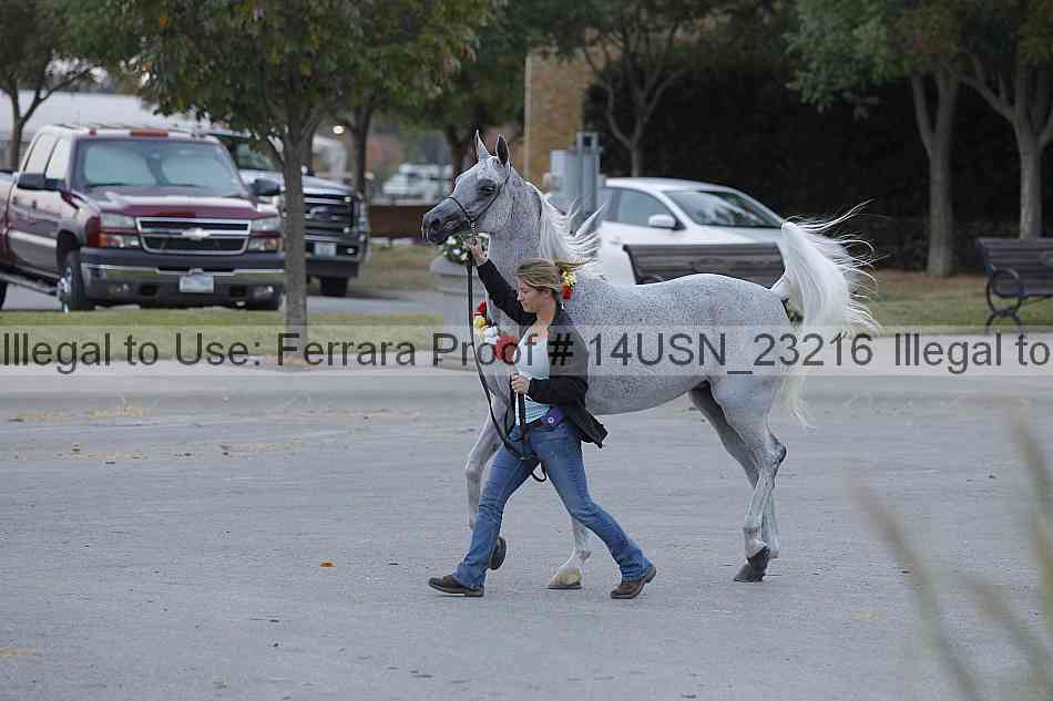 Proof 14usn_23216