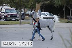14usn_23216 proof