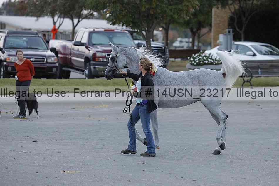 Proof 14usn_23217