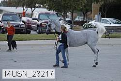 14usn_23217 proof