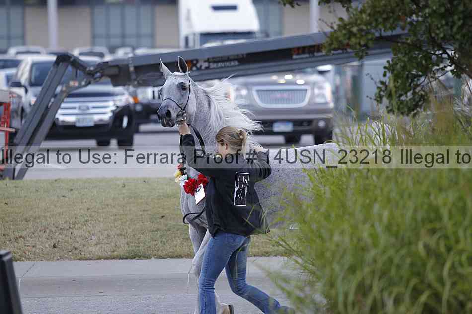 Proof 14usn_23218