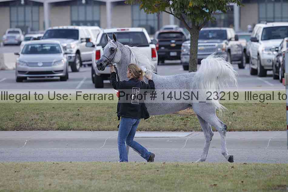 Proof 14usn_23219
