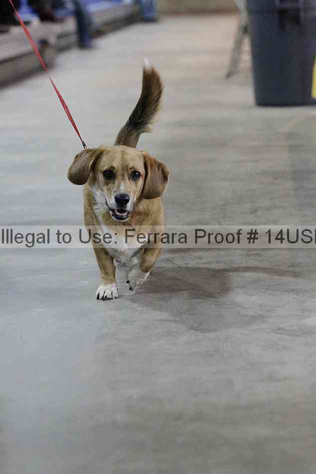 Proof 14usn_33399