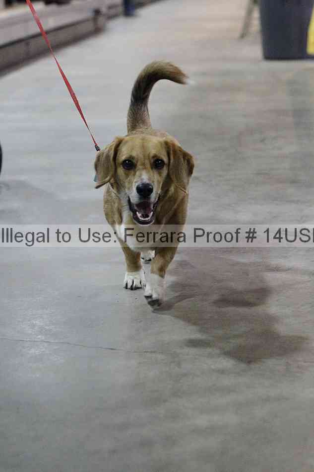 Proof 14usn_33400