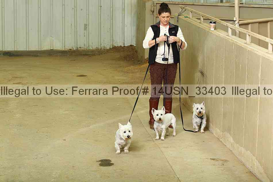 Proof 14usn_33403