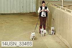 14usn_33403 proof