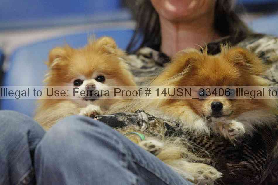 Proof 14usn_33406