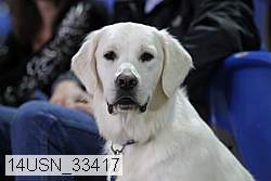 14usn_33417 proof