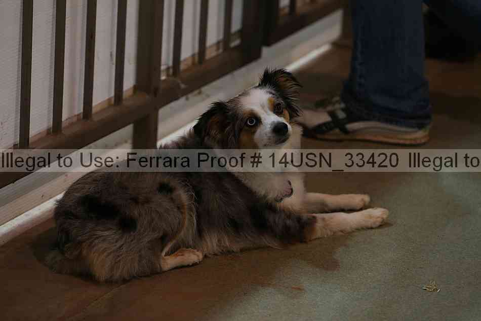 Proof 14usn_33420