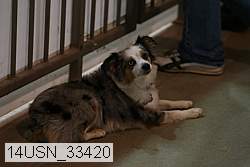 14usn_33420 proof