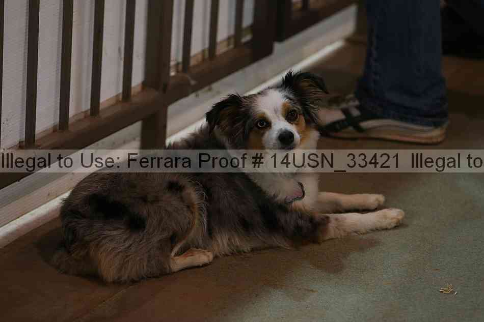 Proof 14usn_33421