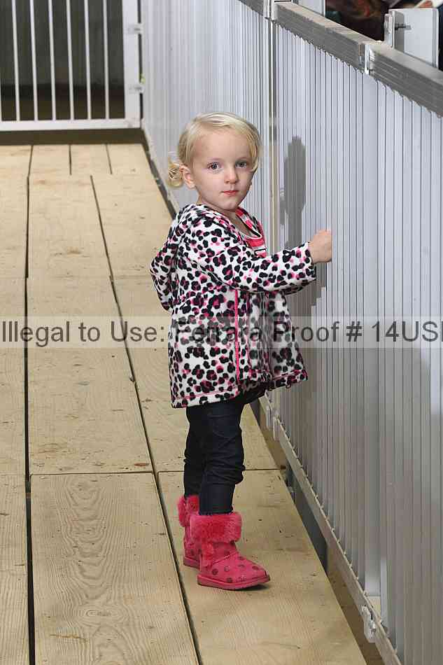 Proof 14usn_33426