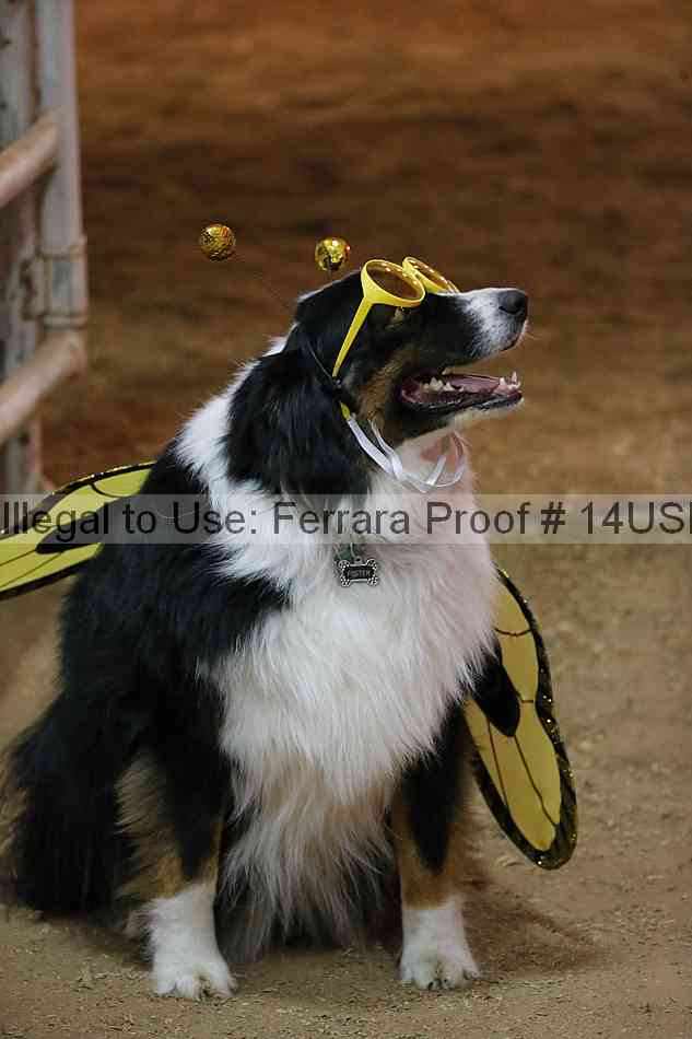 Proof 14usn_39855
