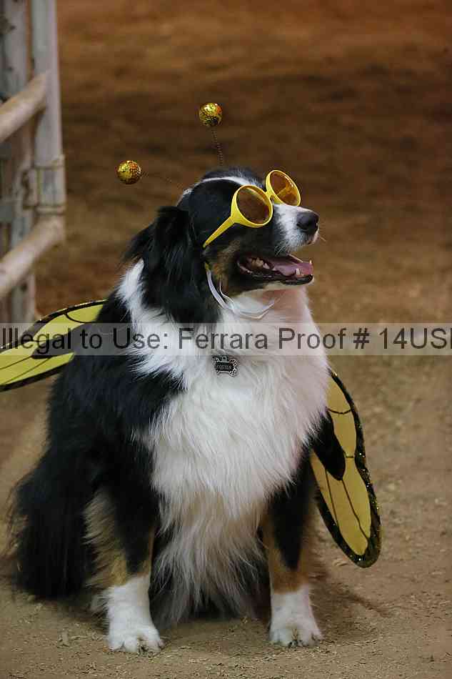 Proof 14usn_39857