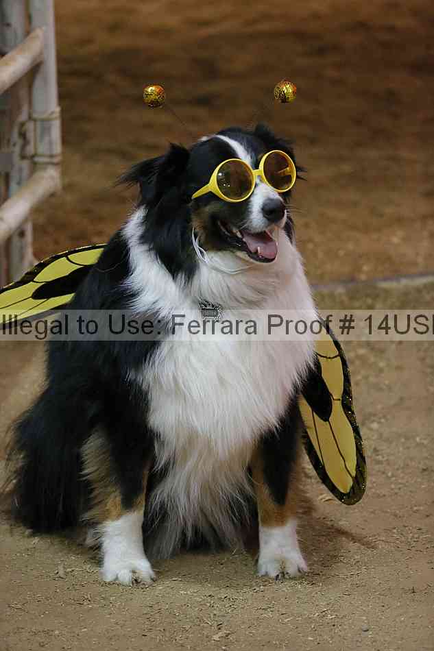 Proof 14usn_39858