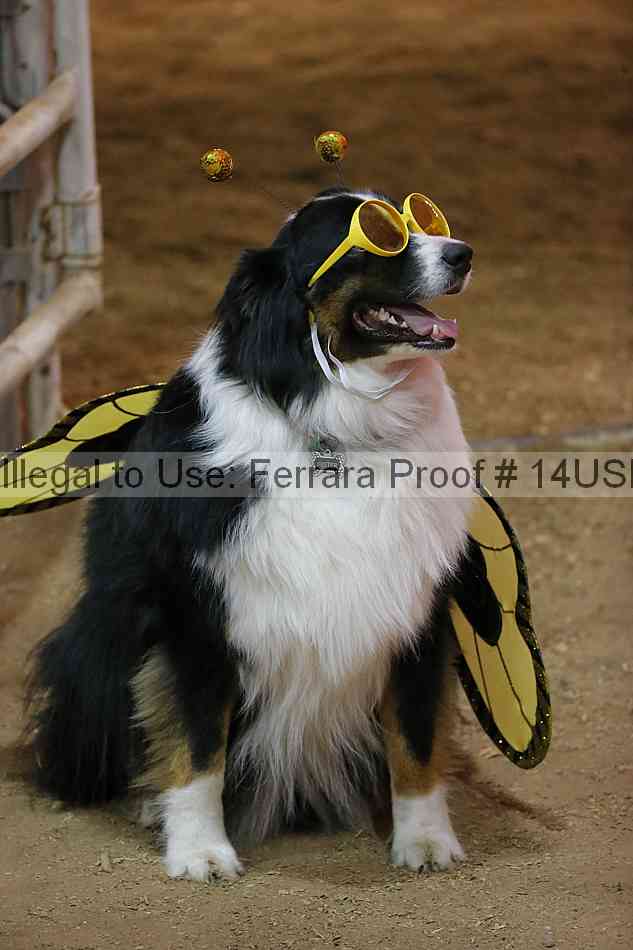 Proof 14usn_39864