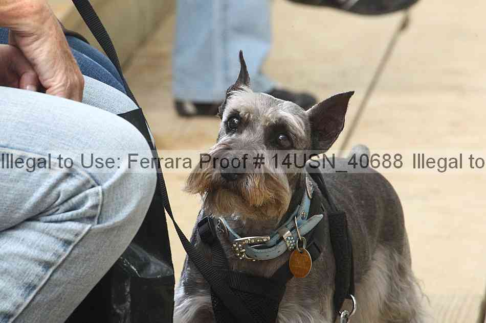 Proof 14usn_40688