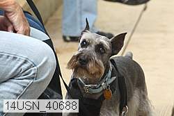 14usn_40688 proof